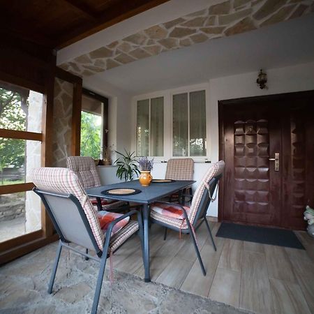 فيلا Full-House Si Gradina In Bucovina, Lisaura المظهر الخارجي الصورة